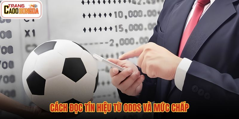 cach-doc-tin-hieu-tu-odds-va-muc-chap