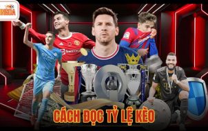 cách đọc tỷ lệ kèo
