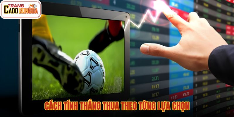 cach-tinh-thang-thua-theo-tung-lua-chon