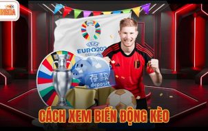 cách xem biến động kèo