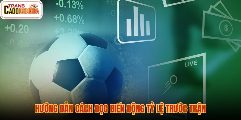 Soi kèo trước trận qua nhịp biến động tỷ lệ