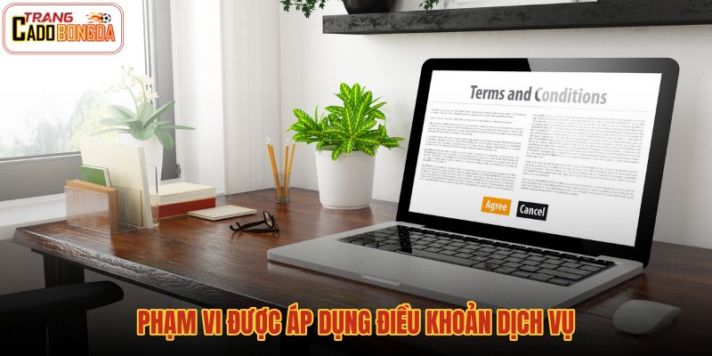 pham-vi-duoc-ap-dung-dieu-khoan-dich-vu