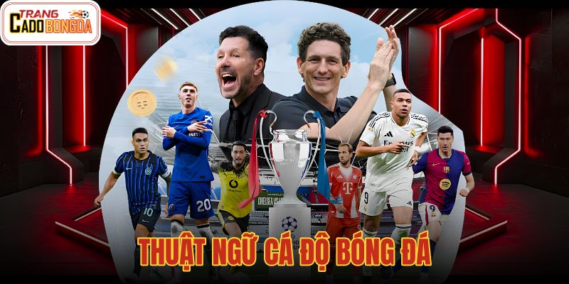Thuật Ngữ Cá Độ Bóng Đá – Bảng Tra Cứu Nhanh Dễ Hiểu
